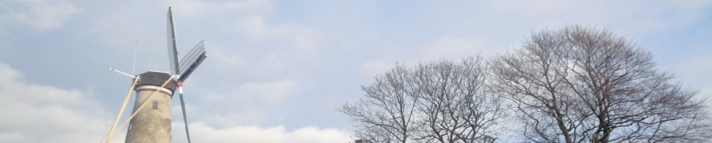 glaszetter wateringen